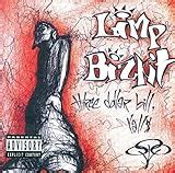limp bizkit album cover|Complete List Of Limp Bizkit Albums And Discography.